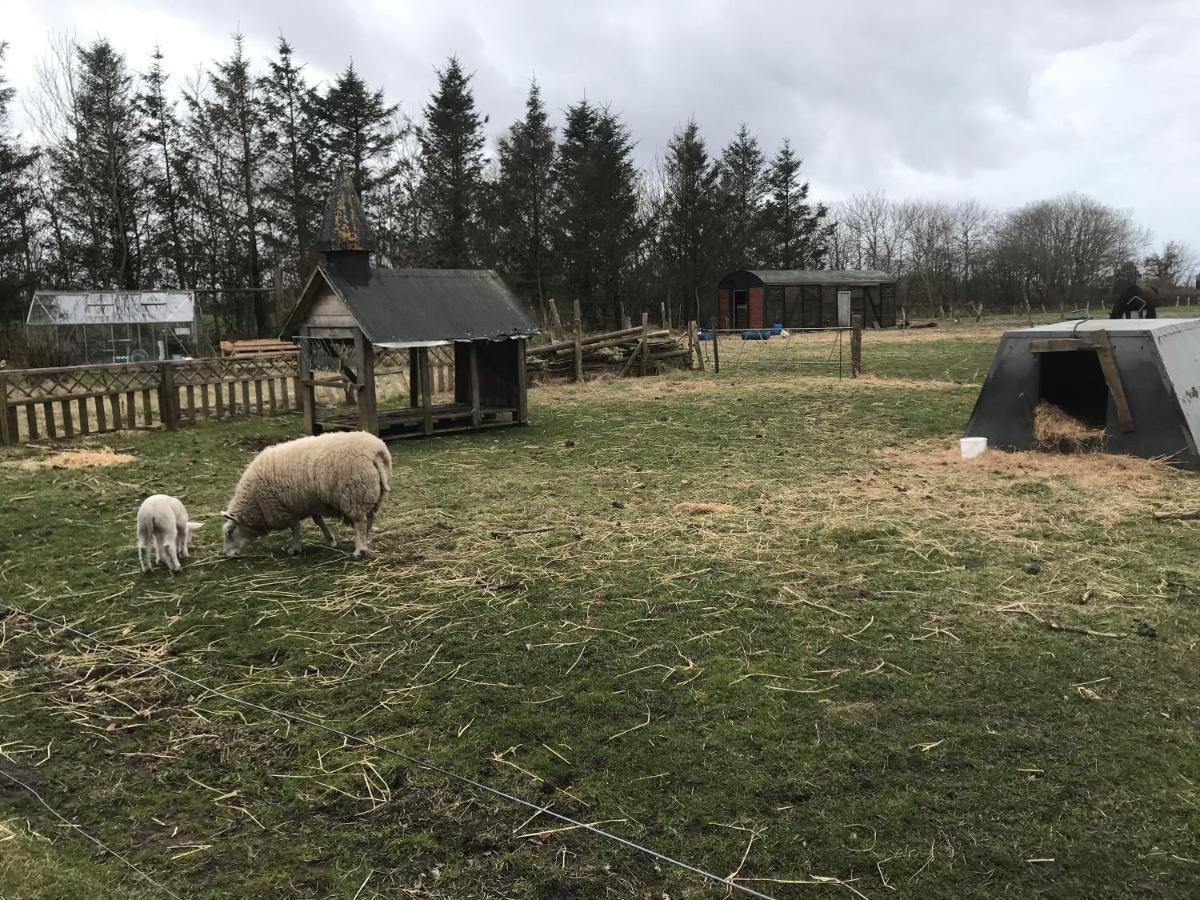 Sdr. Bork Villa Hemmet Eksteriør bilde